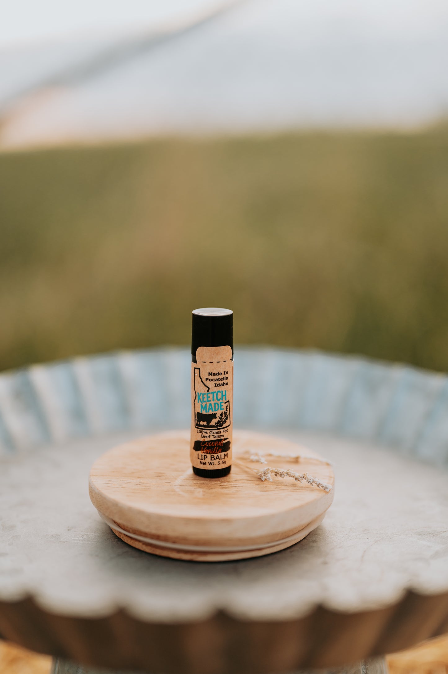 Coconut Vanilla Tallow Lip Balm